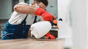 Best Pest Prevention Services  in Hull, IA